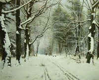 Winter in Soest