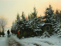 Kerstboom kopen, Huizen